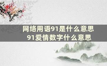 网络用语91是什么意思 91爱情数字什么意思